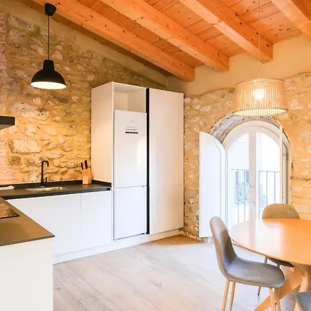 Ganganell Atic Con Terraza En Apartman Besalú